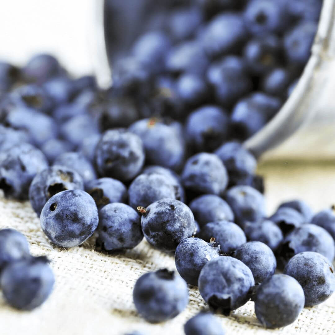 Tin of blueberries.